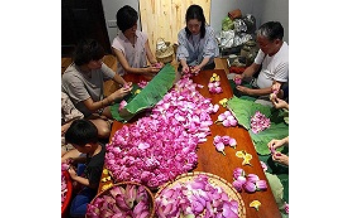 The Making of Lotus Tea - Hien Minh Tea House 